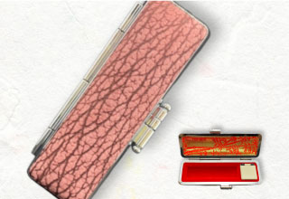 本シャークケース